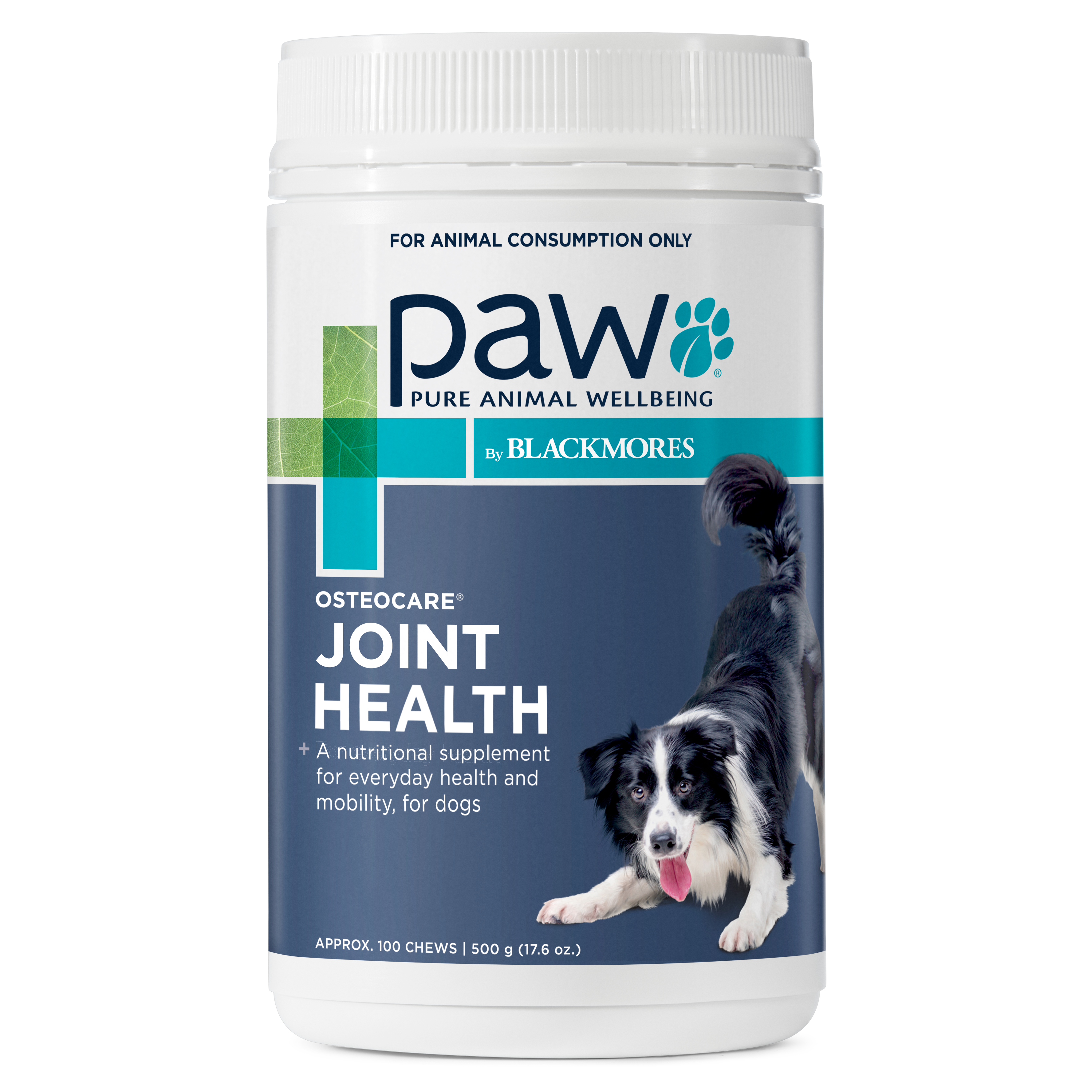 Blackmores osteocare for dogs 500g store