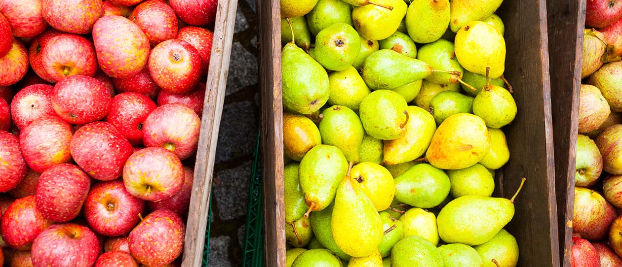Blackmores better brain health