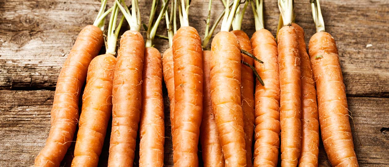 Blackmores banish diet boredom