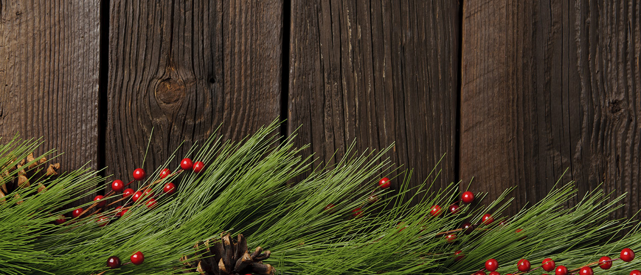 Blackmores six secrets for a stress free christmas