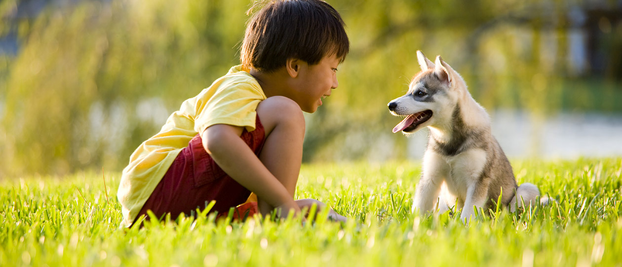 Blackmores pets and allergies