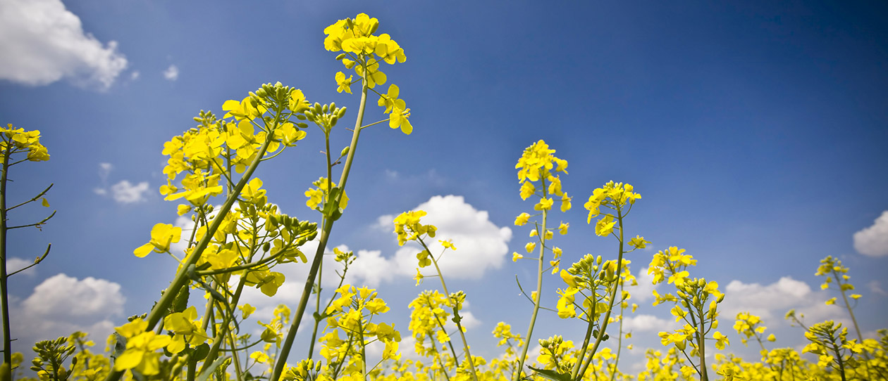 Blackmores australias mind boggling vitamin d deficiency