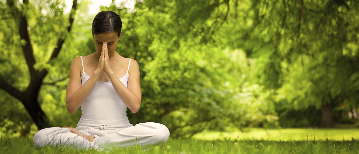 Blackmores the beginners guide to meditation