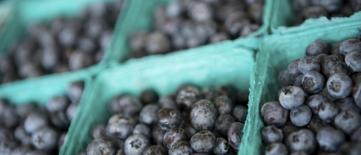 Blackmores berries the superfood of healthy ageing