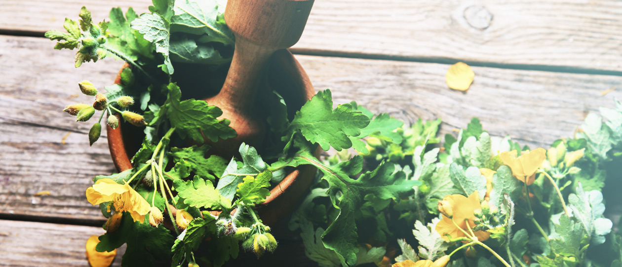 Blackmores Looking to boost your knowledge about complementary medicine this year