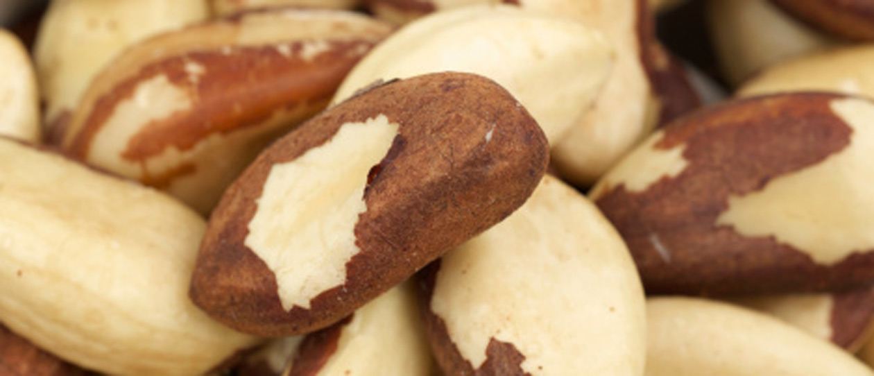 Blackmores nutrition guide brazil nuts