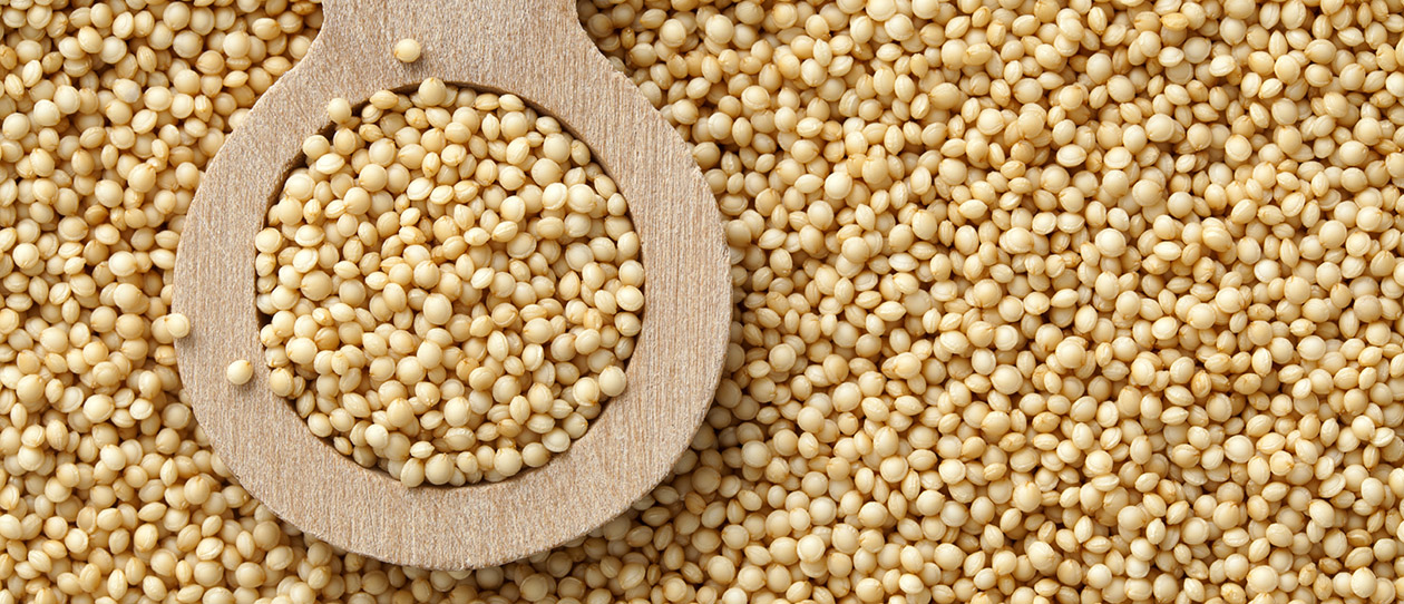 Blackmores cooking with gluten free grains