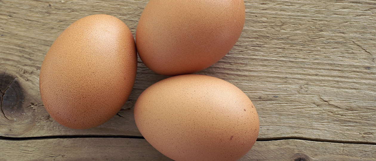 Blackmores eggs back on the menu for weight loss