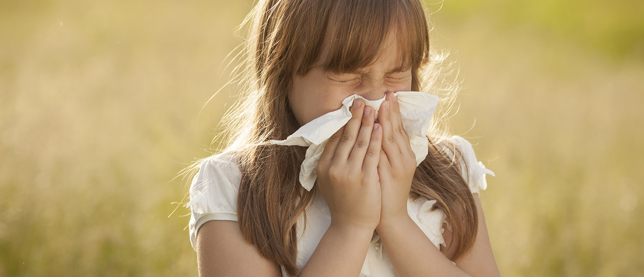 Blackmores hay fever season