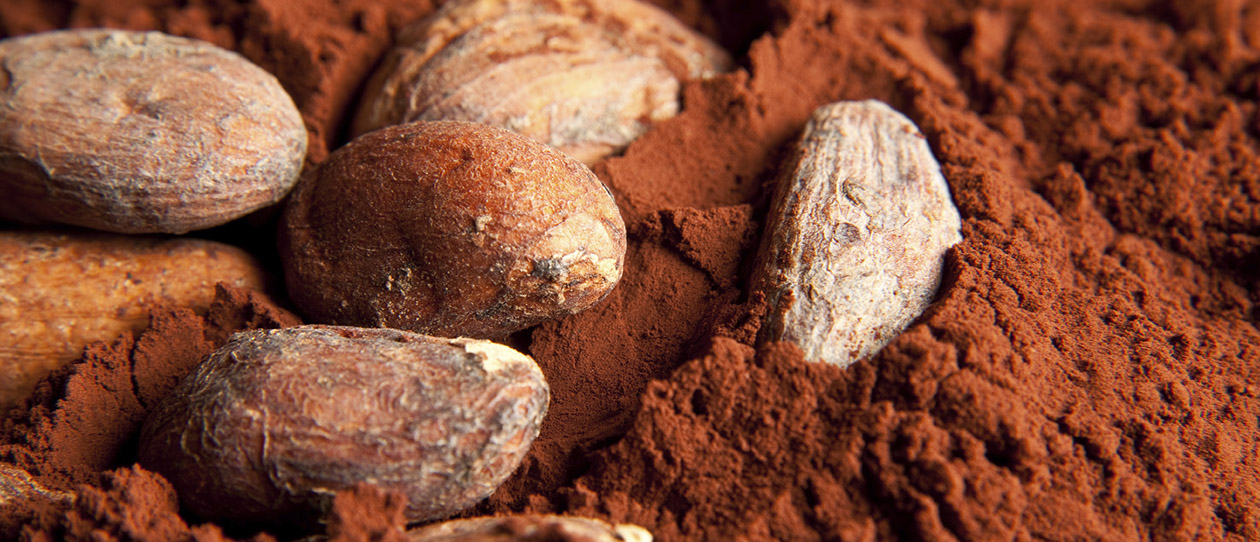 Blackmores holy cacao could chocolate be good for digestion