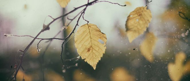 WATCH: How to stay healthy this winter