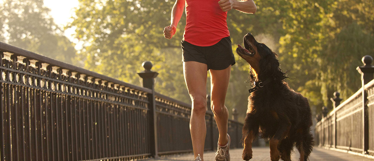 Blackmores mans best friend is a weight loss wonder pet