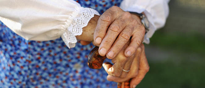 Blackmores nutrition for seniors