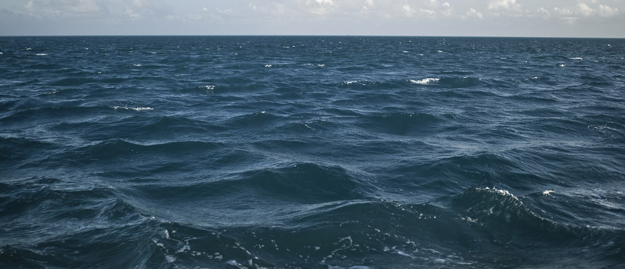 Blackmores ocean swimming summers competitive sport