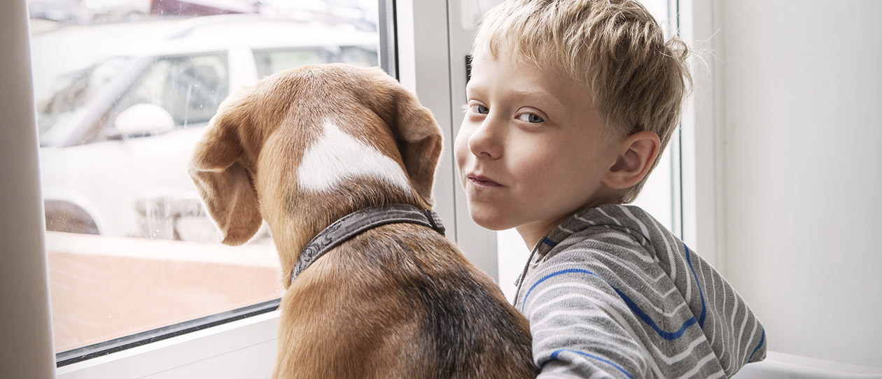 Blackmores pets and kids