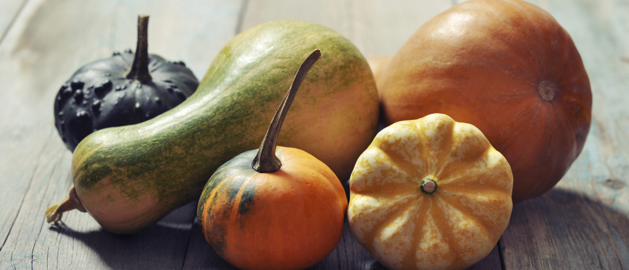Blackmores harnessing the power of pumpkin