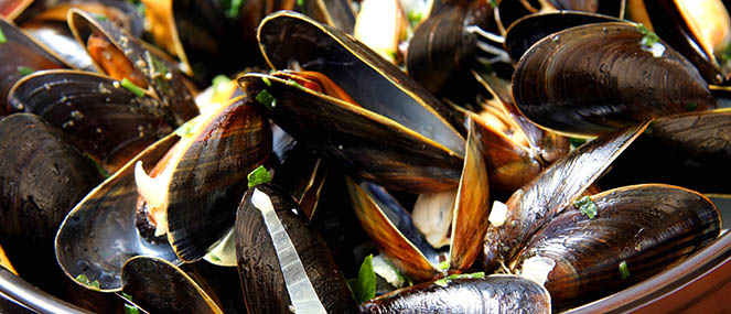 Blackmores seafood and mens heart health