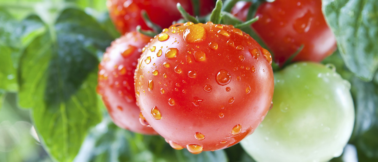 Blackmores seasonal foods fight cold and flu