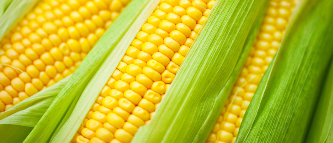 Blackmores recipe sweet corn and radicchio salad