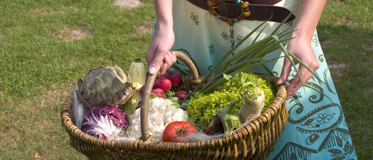 Blackmores the skinny vegetarian fact or fiction