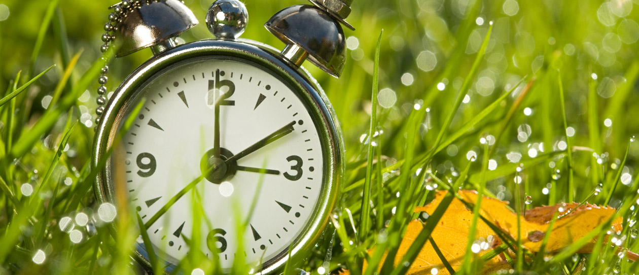 Blackmores the gut circadian rhythm connection