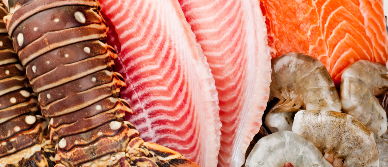 Blackmores the wonder nutrient for your brain
