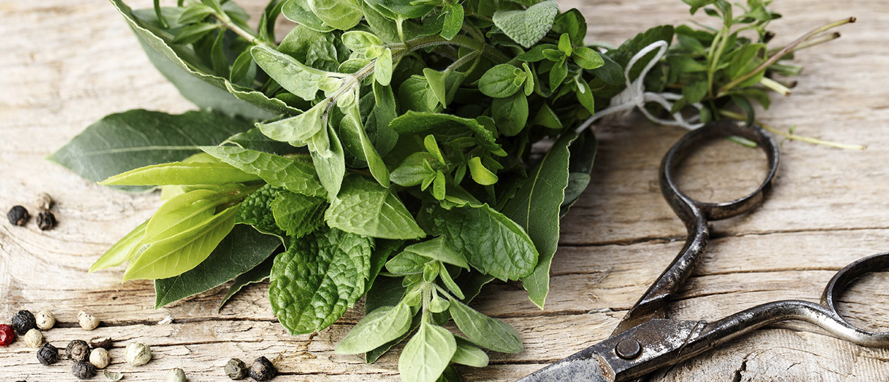 Blackmores the top 5 herbs for women