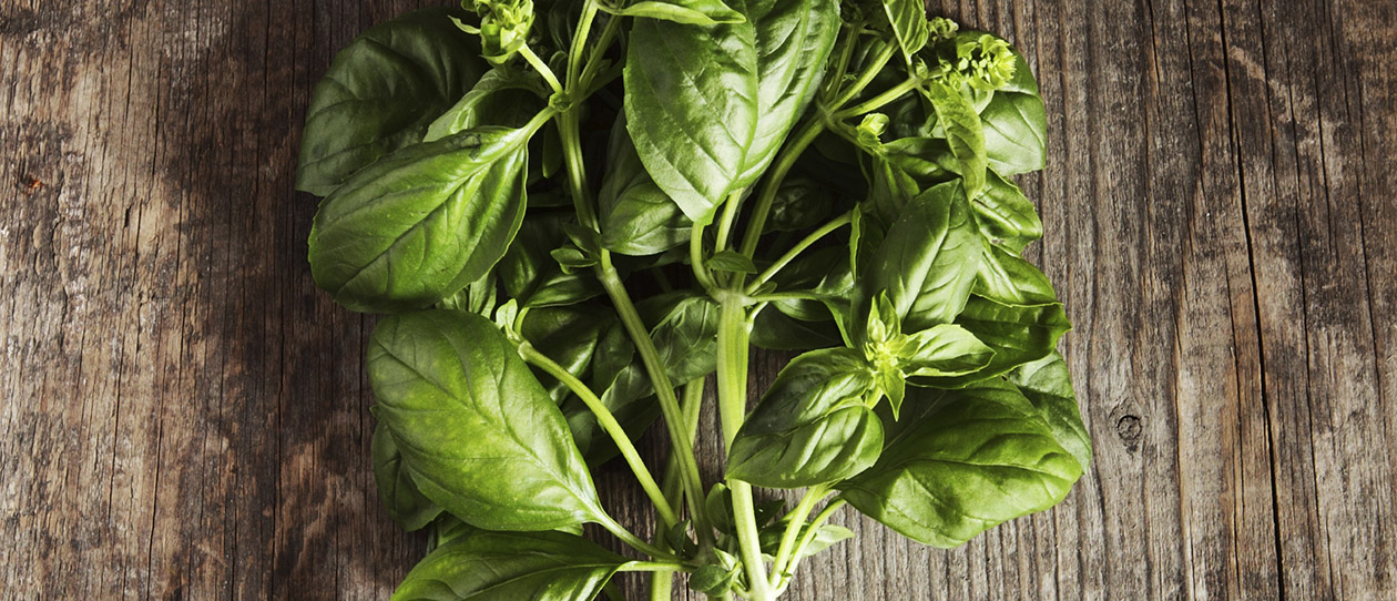 Blackmores can vegetarianism protect you from gout