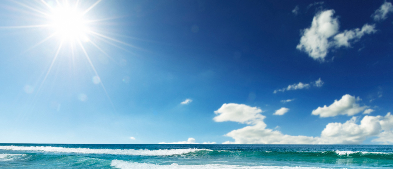 Blackmores the vitamin d debate