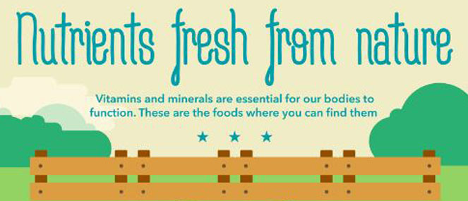 INFOGRAPHIC: Vitamins & minerals