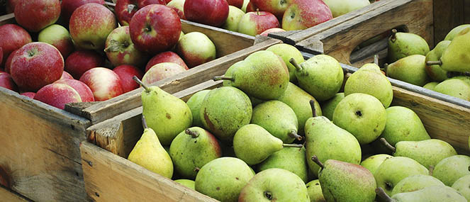 what you need to know about cholesterol part 2