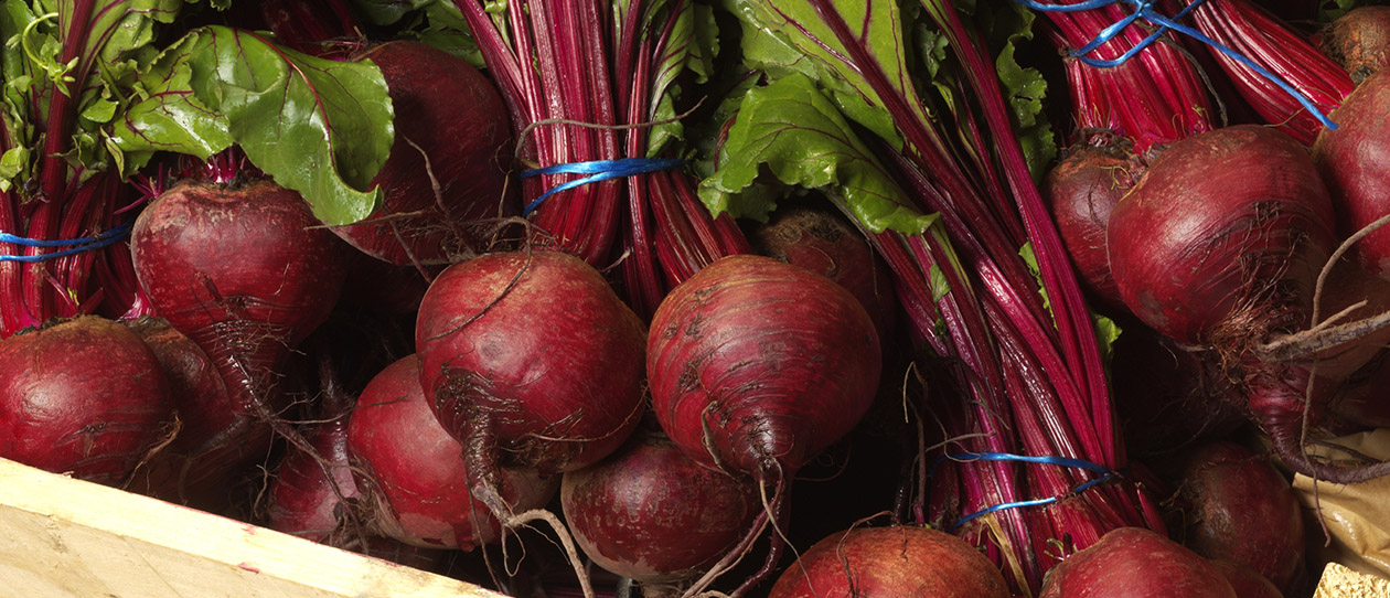 Blackmores why scientists are interested in phytonutrients