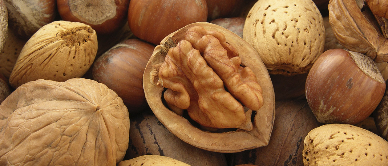 Blackmores why walnuts are a fertility superfood for men