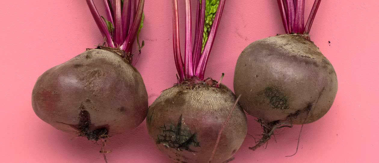 Blackmores The benefits of beetroot