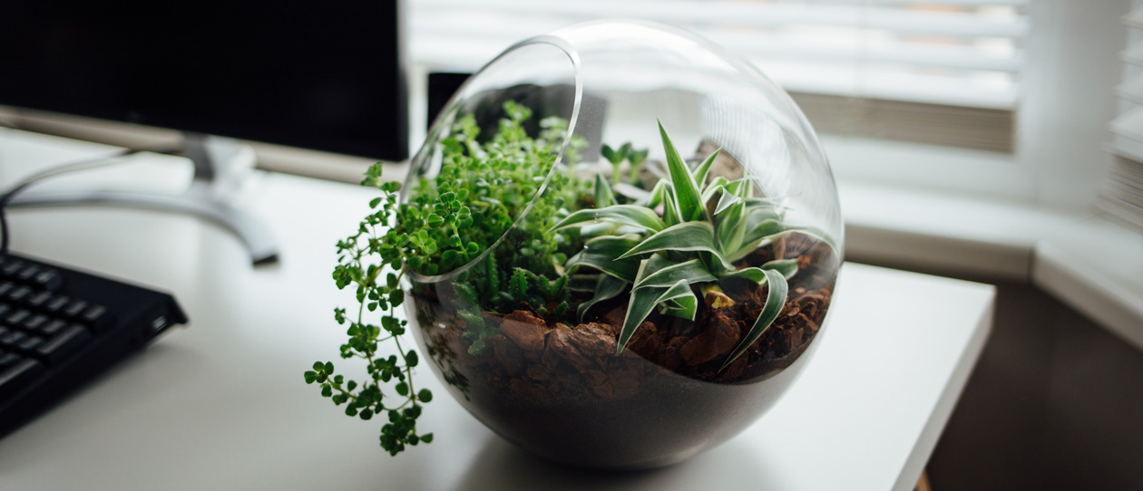 Blackmores Why you need to get more plant life balance