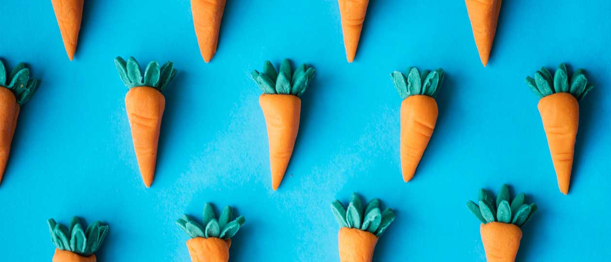 Model carrots on a blue background