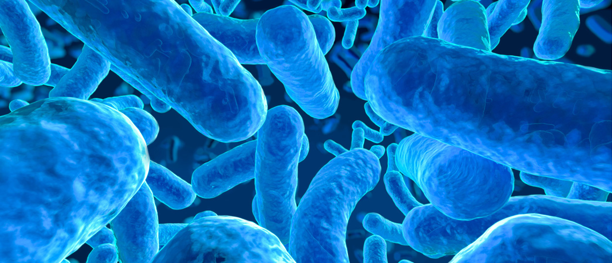 Microscopic image of the guts microbiome