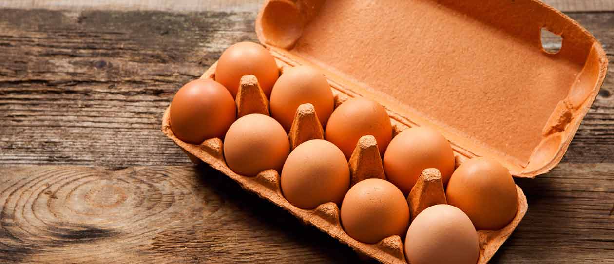 Protein-for-breakfast-could-help-with-weight-loss-1260x542