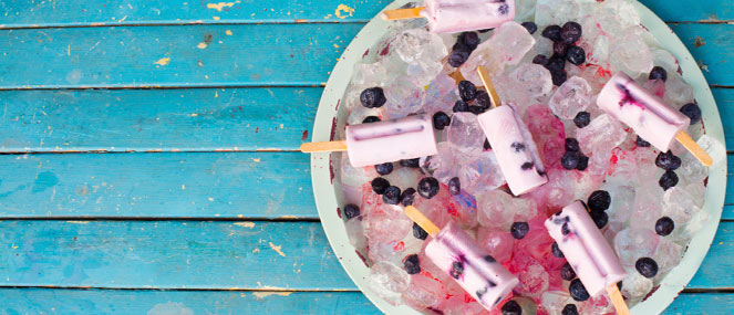 Wild blueberry coconut ice pops