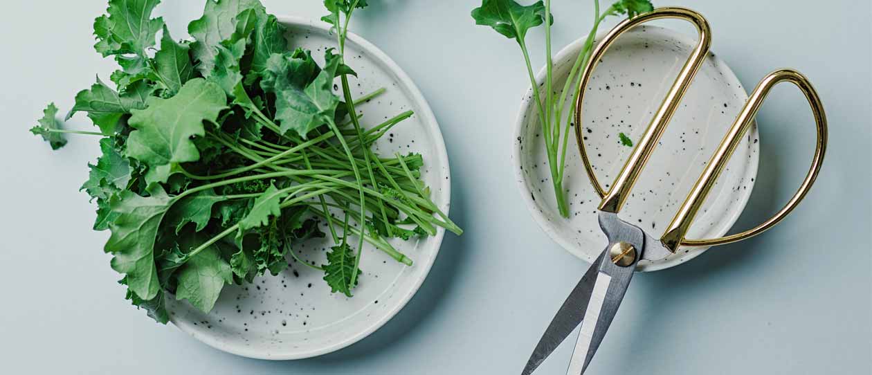 Green vegetable and scissors on a white background