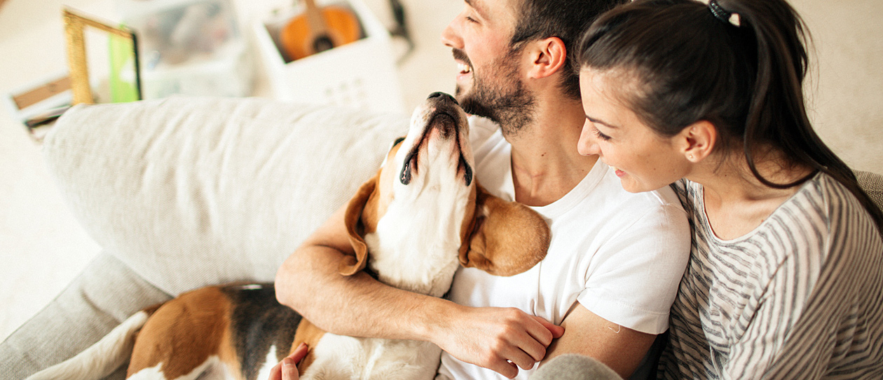 How to introduce your new partner to your pet. Learn more from www.blackmores.com.au/paw-by-blackmores