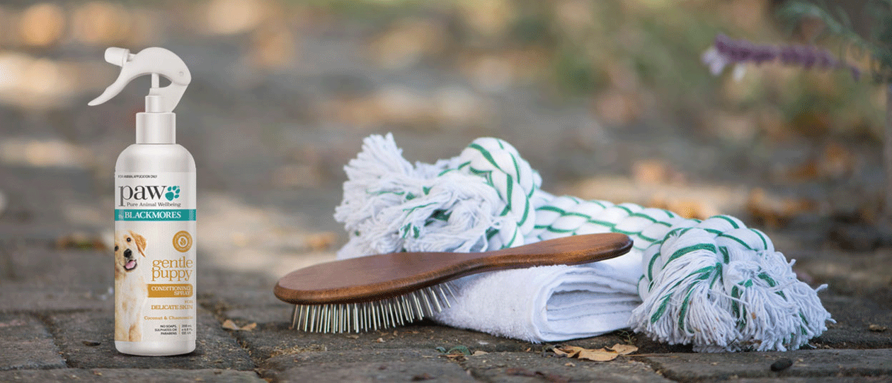 Puppy grooming conditioning spray buy at