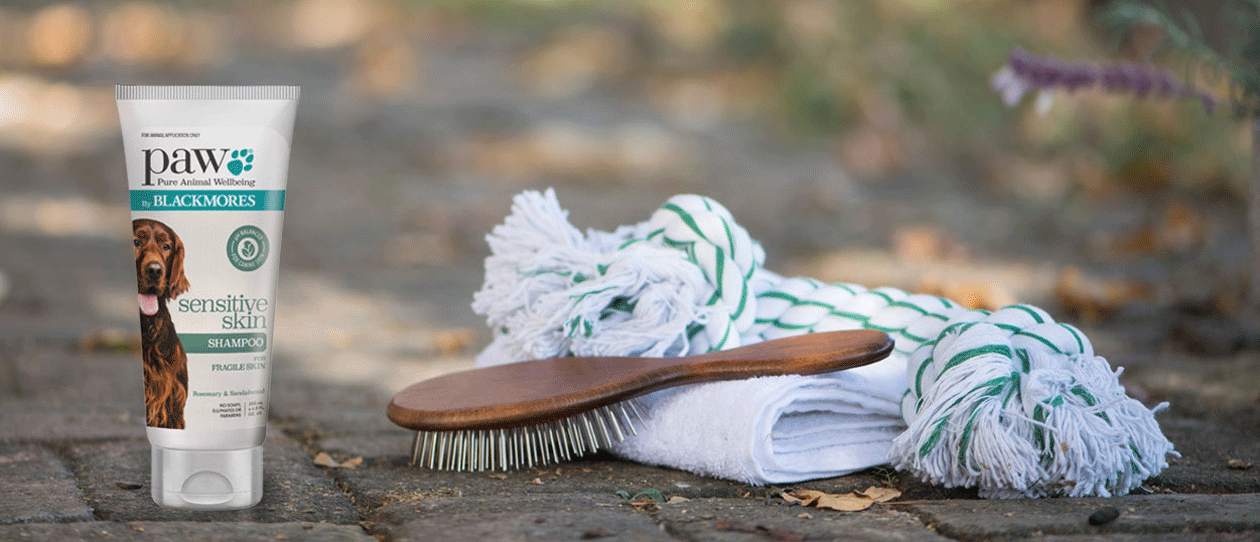 Dog shampoo for sensitive skin from PAW by Blackmores